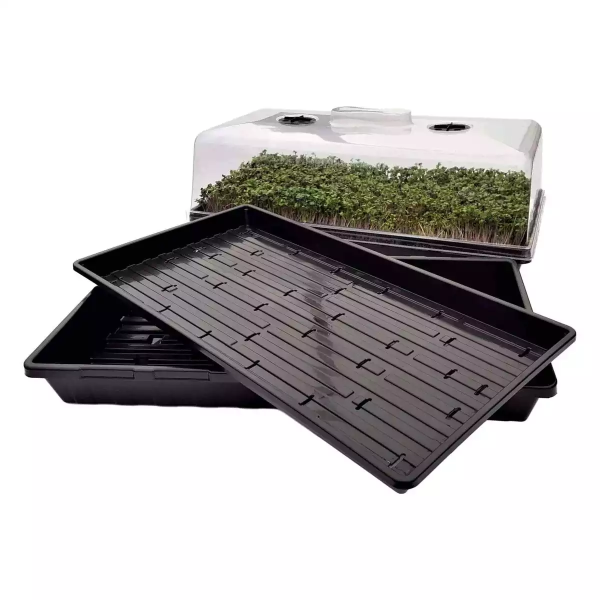 Bootstrap Farmer Microgreen Trays