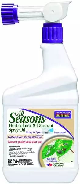 Bonide All Seasons Horticultural and Dormant Spray Oil Insecticide