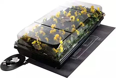 Jump Start Germination Station w/Heat Mat Tray with 2" Dome
