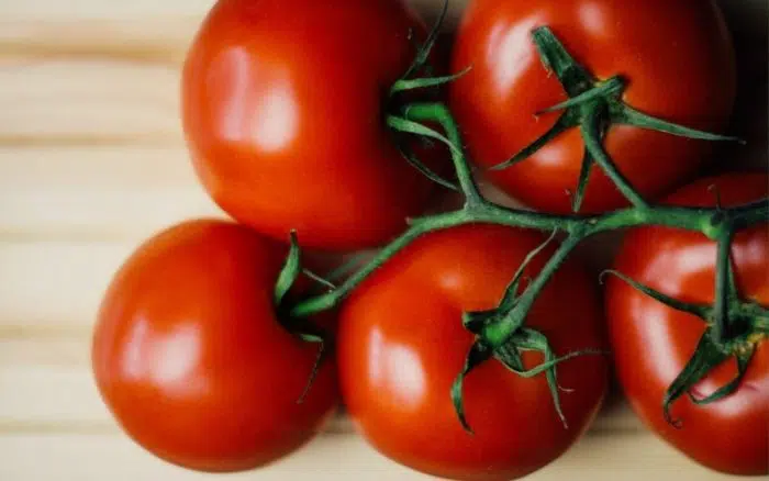 aerogarden tomatoes