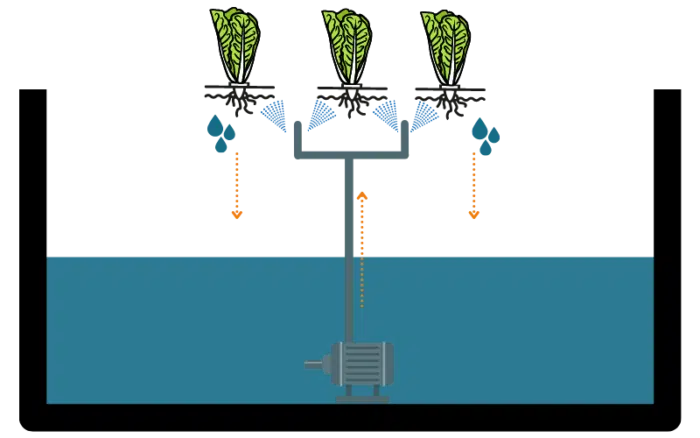 aeroponic system