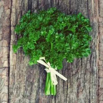 how to air dry parsley