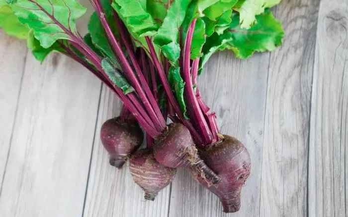 growing beets in containers