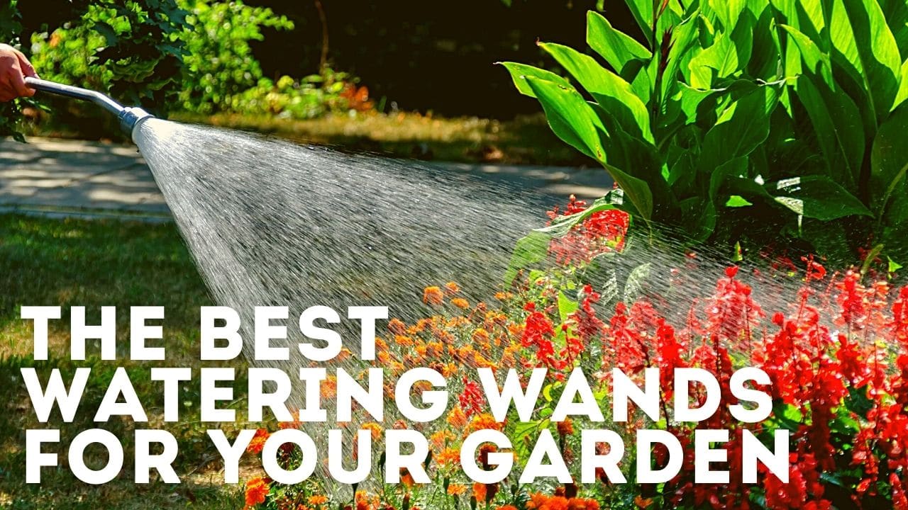 The Top 3 Watering Wands for Your Garden in 2021 Seeds & Grain