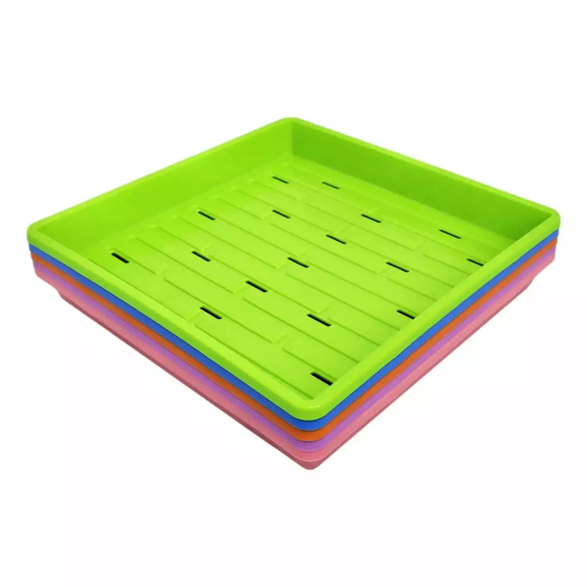 Bootstrap Farmer 10x10 Microgreen Trays