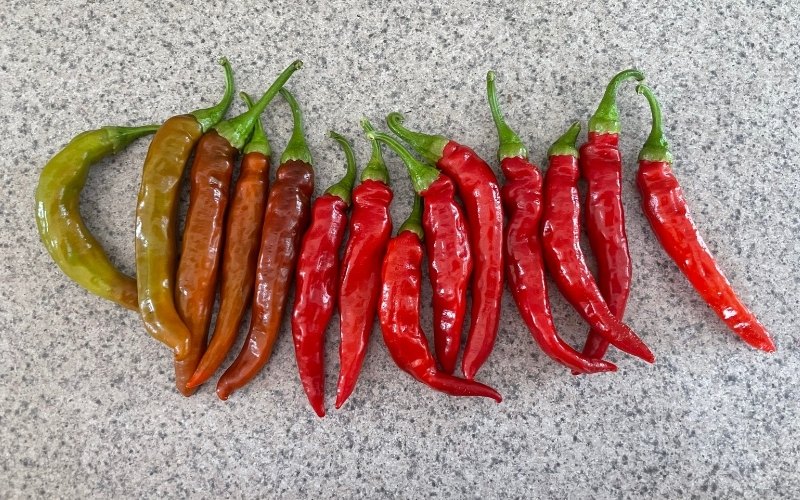 Do cayenne peppers turn red? - THEKITCHENKNOW