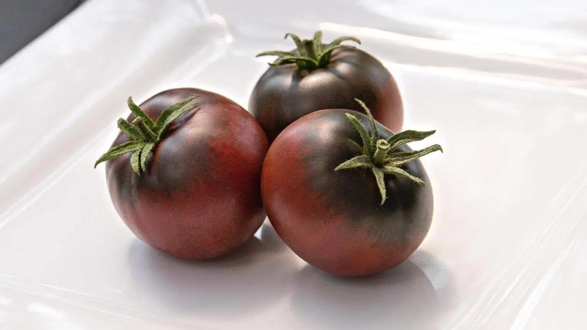 cherokee purple tomatoes on a plate