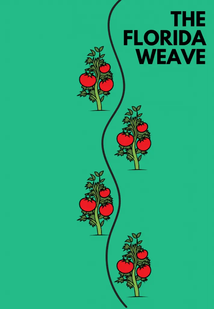 florida weave example