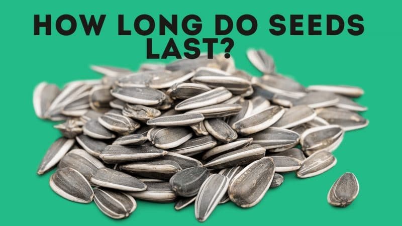 how long do seeds last