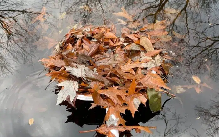 how to clean a pond