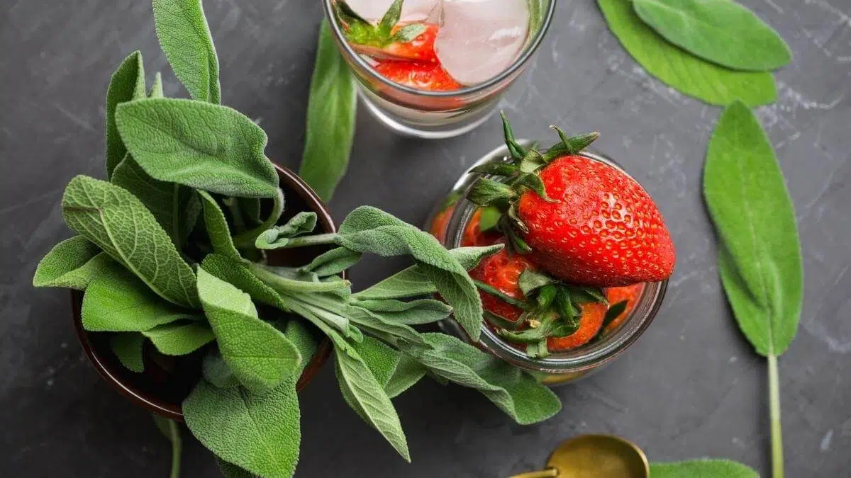 sage and strawberries