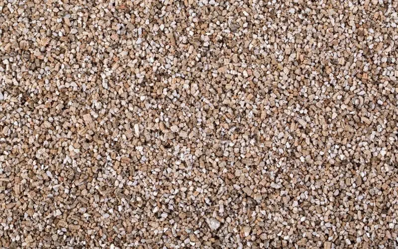vermiculite microgreens