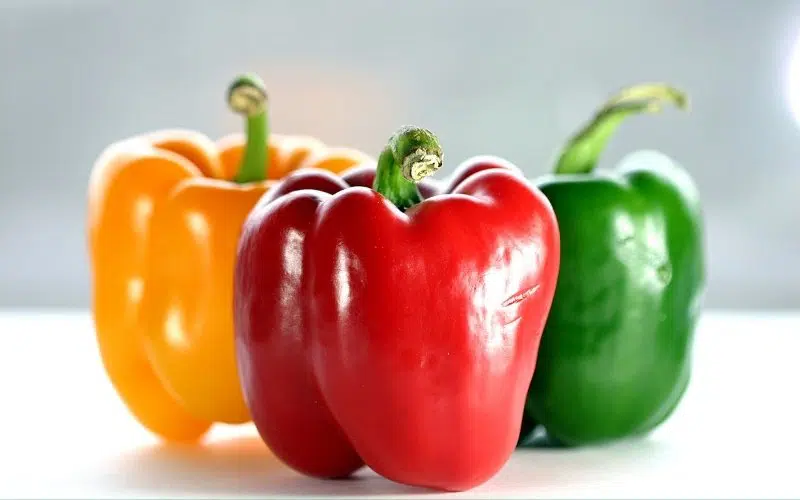 when to pick bell peppers