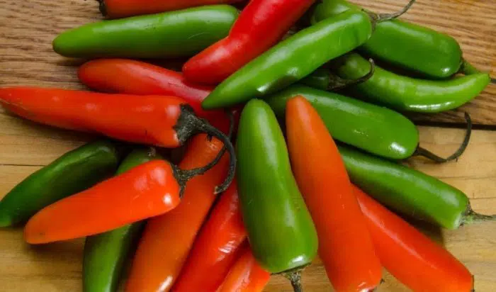 when to pick serrano peppers