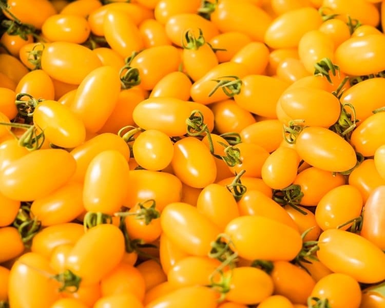 The Best Types Of Yellow Tomatoes Cherry Heirlooms And More